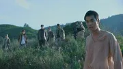 The Stranded