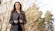 New York Section Criminelle S9 E13