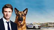 Hudson et Rex S1 E13