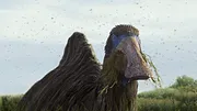 Planète préhistorique