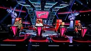 The Voice (États-Unis)