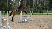 Heartland S11 E2