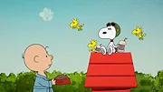 Le Snoopy Show