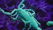 Les Mondes extraterrestres
