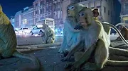 La Terre, La Nuit