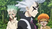Dr. STONE
