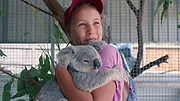 Izzy et les koalas