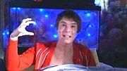 Skins