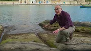 À l'aube de notre histoire