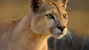 Parcs nationaux : Ces merveilles du monde