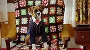 Pup Academy : L'école secrète