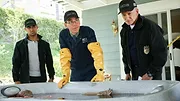 NCIS : Enquêtes spéciales