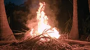 Outlast : La jungle