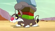 Looney Tunes Cartoons
