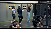 MMA Academy