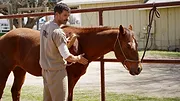 Walker S1 E10
