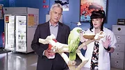NCIS : Enquêtes spéciales