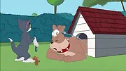 Tom et Jerry Show S2 E5
