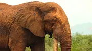 Parcs nationaux : Ces merveilles du monde