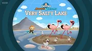 Les Octonauts : Mission Terre