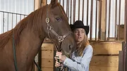 Heartland