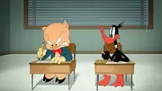 Looney Tunes Cartoons