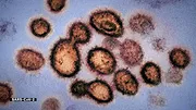 Le coronavirus, en bref