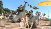 Mike, une vie de chien S1 E57