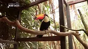 Expédition Pairi Daiza