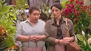 La casa de las flores