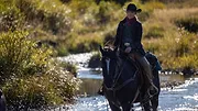 Heartland S16 E9