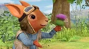 Pierre Lapin