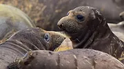Parcs nationaux : Ces merveilles du monde