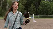 Heartland