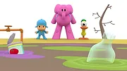 Pocoyo