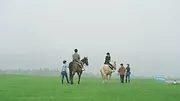 Love is Blind : Japon