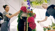 La Grande Bataille des fleurs