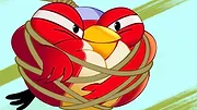 Angry Birds : Un été déjanté