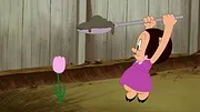 Looney Tunes Cartoons
