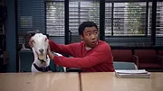 Community