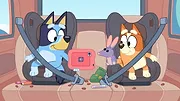 Bluey S1 E12