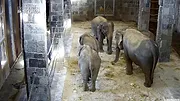 Expédition Pairi Daiza