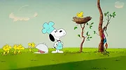 Le Snoopy Show