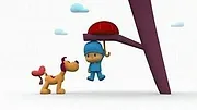 Pocoyo