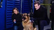 Hudson et Rex S4 E16