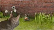 Pierre Lapin S1 E20