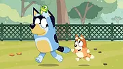 Bluey S3 E30