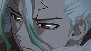 Dr. STONE