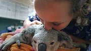 Izzy et les koalas