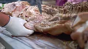 Le porc : Une passion coréenne